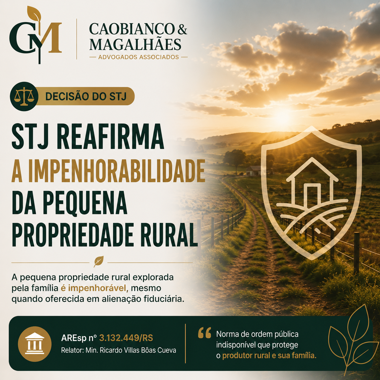 Notícia destaque